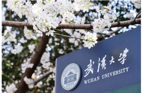 武汉大学消息：开设“雷军班”，可100%具备保研资格！